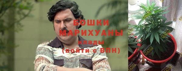 Альфа ПВП Бугульма