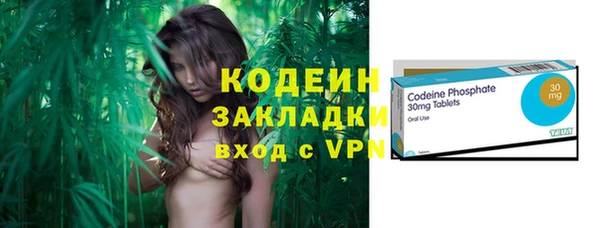 трава Бородино