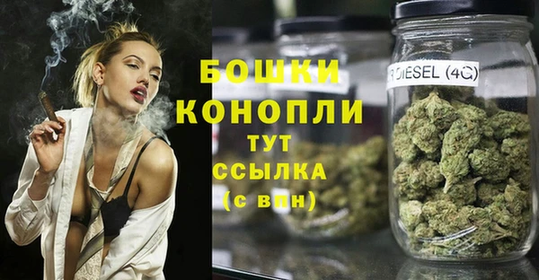 трава Бородино