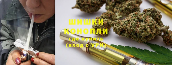 трава Бородино