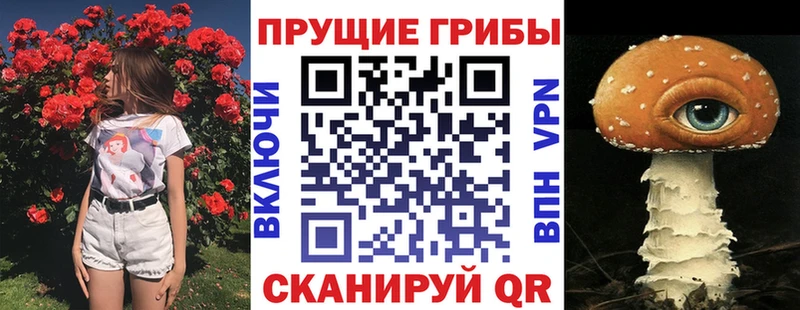 купить  цена  Киселёвск  мега рабочий сайт  Галлюциногенные грибы Psilocybine cubensis 